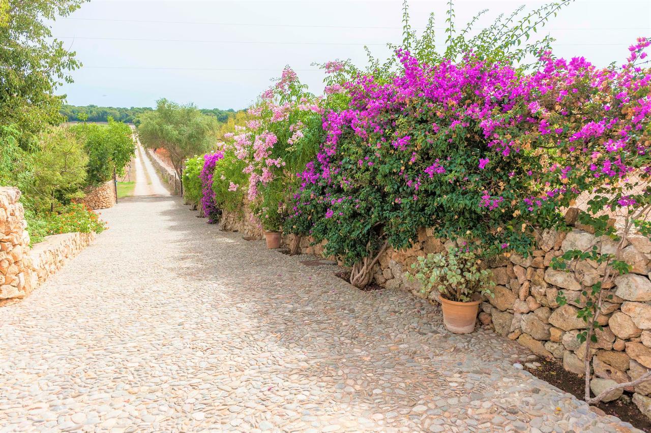 Villa Sa Mata Grossa Campanet