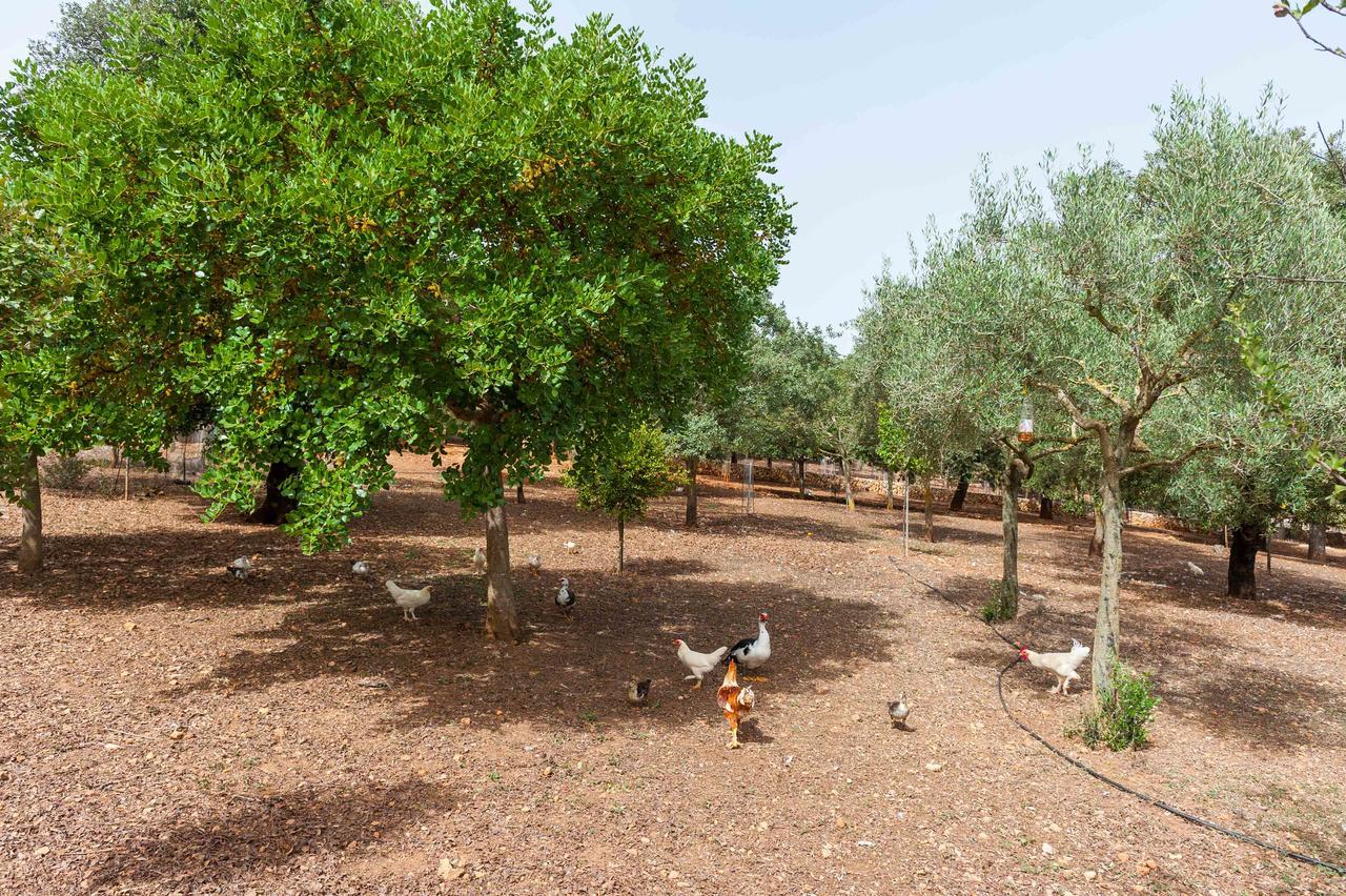 Sa Mata Grossa Villa